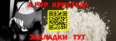 2c-b Кингисепп